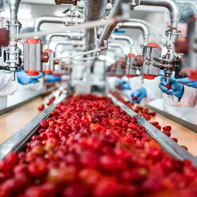 Food Ingredients Manufacturer Blows Past Margin Growth Goals with Conga