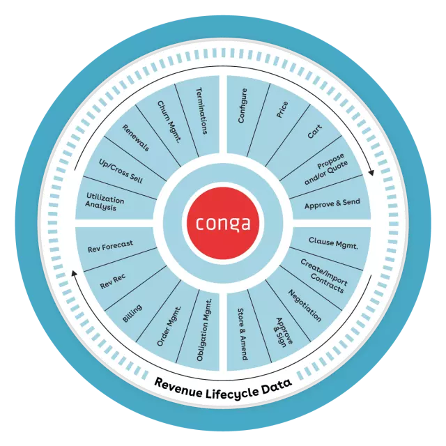 Revenue Lifecycle Wheel - Spokes