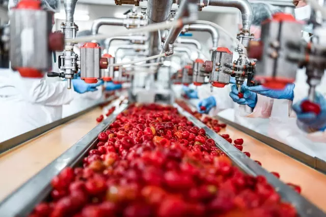 Food-Manufacturing